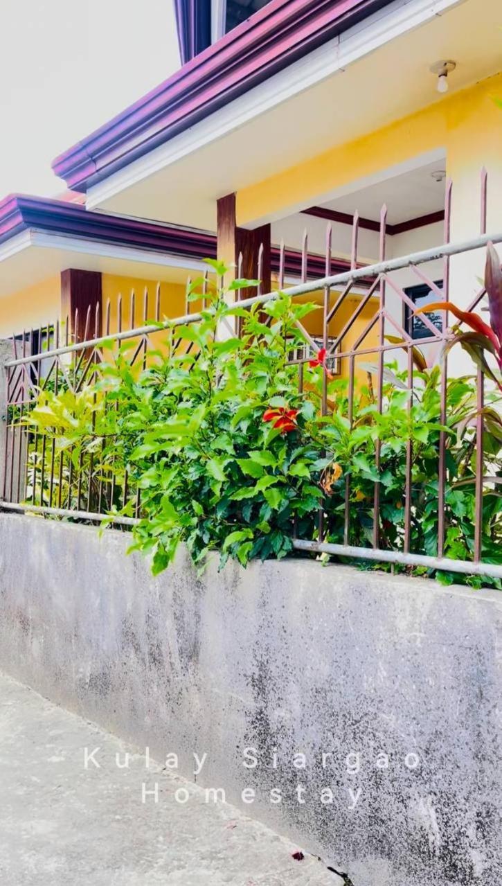 Ameeza Houze Homestay - Siargao General Luna  Ngoại thất bức ảnh